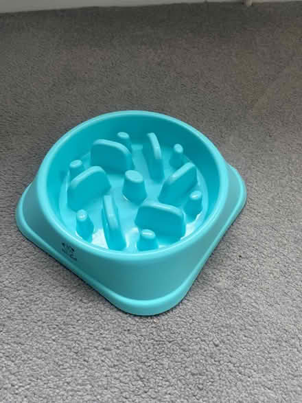 Photo of free Dog slow feeder bowl (OX14) #1