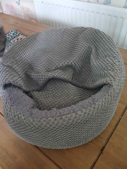 Photo of free Small round cozy cat bed (S10 1qf crookes S10) #2