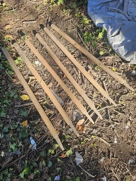 Photo of free Cricket stumps x6 (Nw11) #2