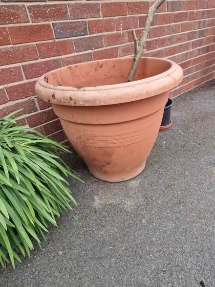 Photo of free Plastic terracotta plant pot (Battle Field SY6) #1