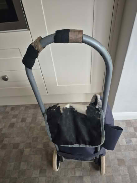 Photo of free Shopping Trolley (Blacklands TN34) #2