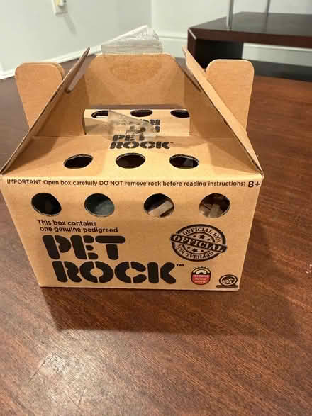 Photo of free Pet Rock (Coolidge Corner, Brookline) #1