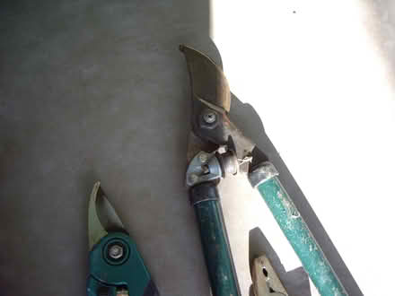 Photo of free Garden Tools (Whitley SN12) #4