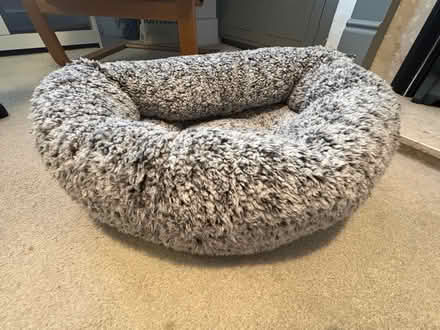 Photo of free Cat bed - unused (Central Reading RG1) #1