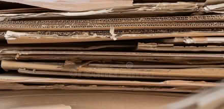 Photo of Cardboard (brown & large) (Hatch Warren Farm RG22) #1