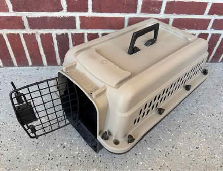 Photo of free Kitten/Small Cat Carrier (Girard Estates South Phila) #1