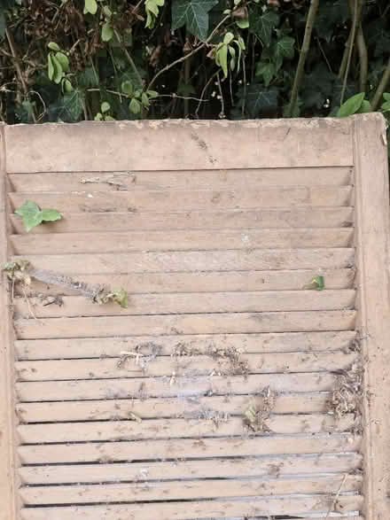 Photo of free Slatted doors (Nw11) #2