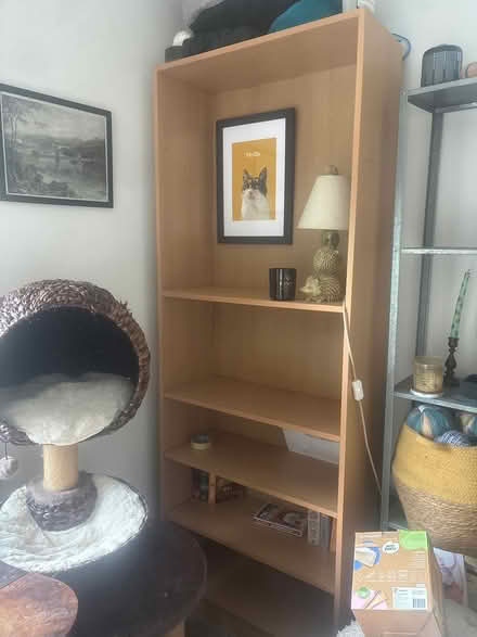 Photo of free Large bookshelf (Dolgarrog) #1