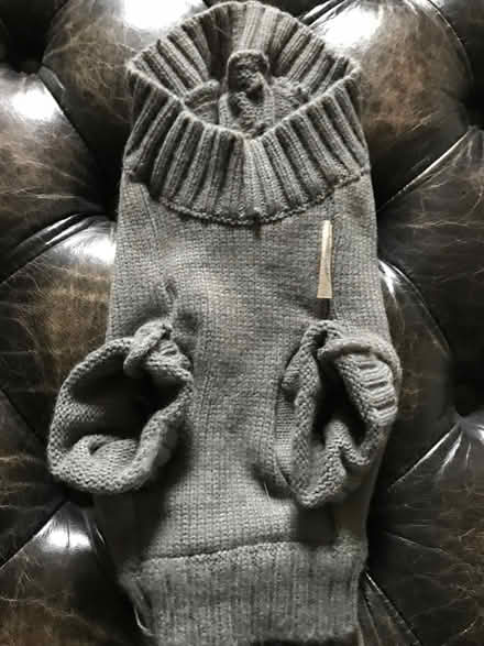 Photo of free Dog coat (Richmond TW9) #1