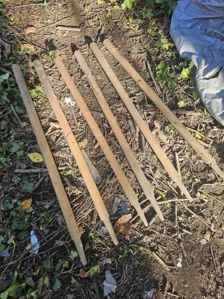 Photo of free Cricket stumps x6 (Nw11) #1