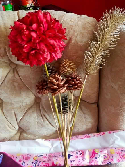 Photo of free Dried flowers (Oswestry SY11) #1