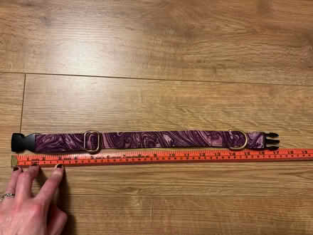 Photo of free Dog collar (medium sized) (Lords Wood ME5) #2