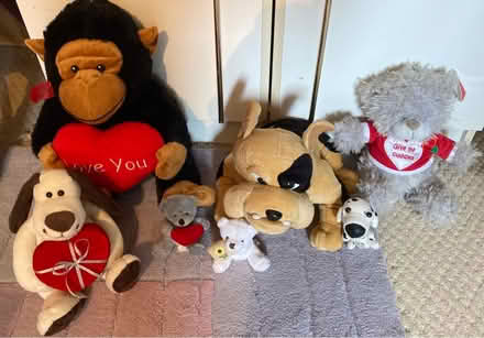Photo of free Soft toys (Swindon SN5) #1