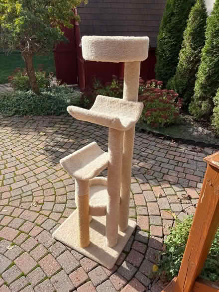 Photo of free Cat Tree / Cat Tower — 64” Tall (Westboro) #1