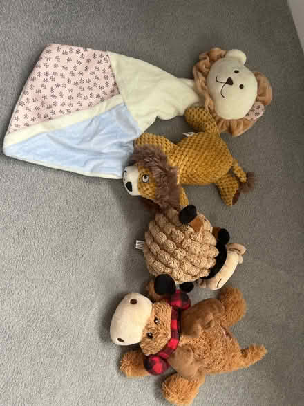 Photo of free Dog toys (OX14) #1