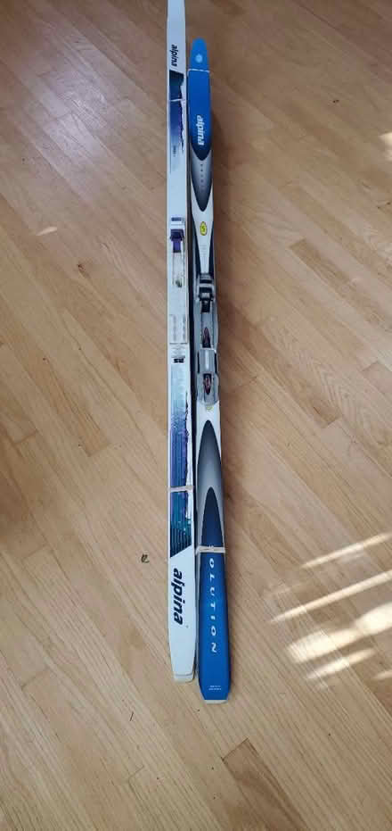 Photo of free Cross Country Skis (Towson nr. Loch Raven & Taylor) #2