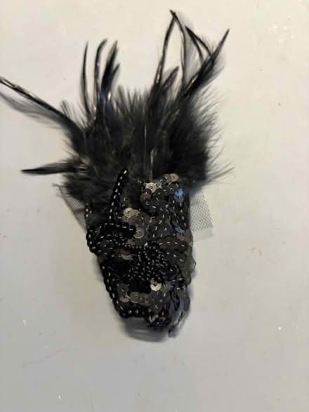 Photo of free Hair slide (Westbury BA13) #1