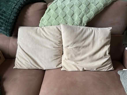 Photo of free Cream cushion covers (Preston PR1) #1