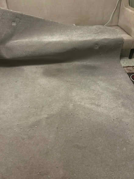 Photo of free Grey carpet and good quality underlay (New Greens AL3) #4