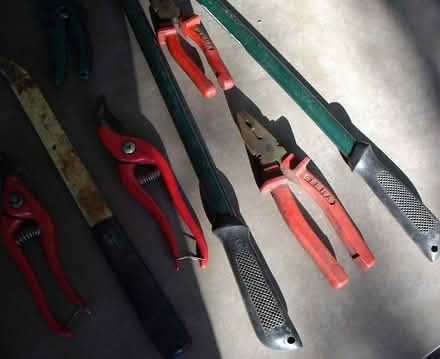 Photo of free Garden Tools (Whitley SN12) #3