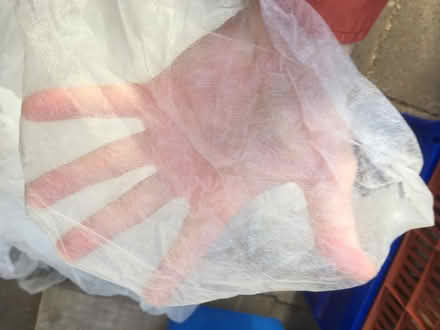 Photo of free Garden fleece and netting (Ibstock LE67) #3
