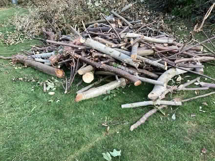 Photo of free Logs (Nest Farm area NN8) #3