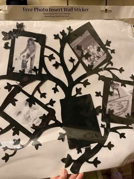 Photo of free Family tree photo wall sticker (Merry Hill WD23) #1