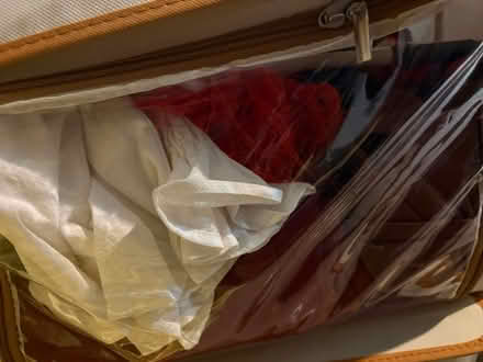 Photo of free show costumes for kids (Wellesley Hills) #4