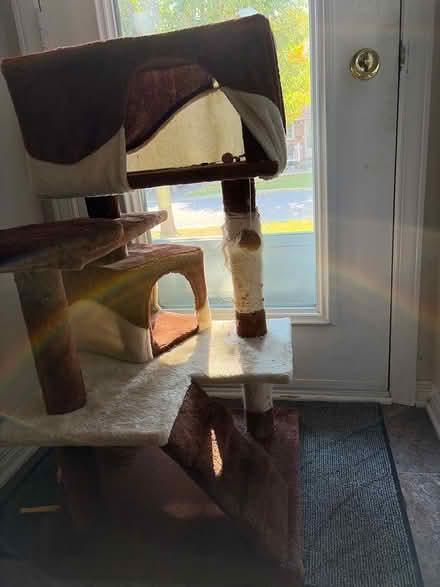 Photo of free Cat Tree 36” high (Chapel Hill) #2