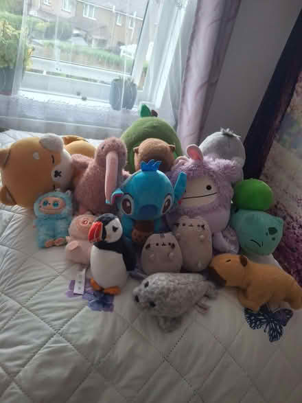 Photo of free Plush toys (Penrith CA11) #1