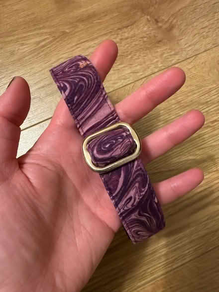 Photo of free Dog collar (medium sized) (Lords Wood ME5) #1