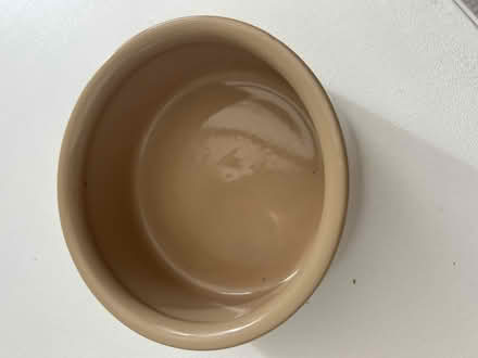Photo of free Small ceramic dog bowl (KT23 Great Bookham) #2