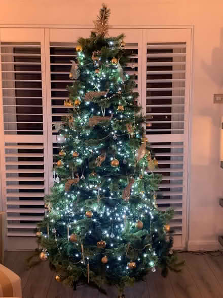 Photo of free 6ft 6in Xmas tree (Chelmer Village CM2) #1