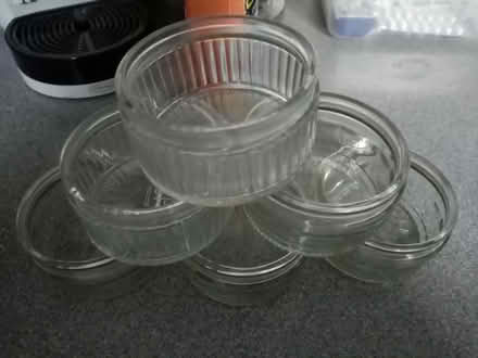 Photo of free Ramakins (Luton LU1) #1