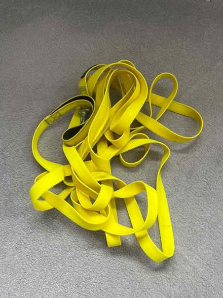 Photo of free Yellow long dog lead (OX14) #1