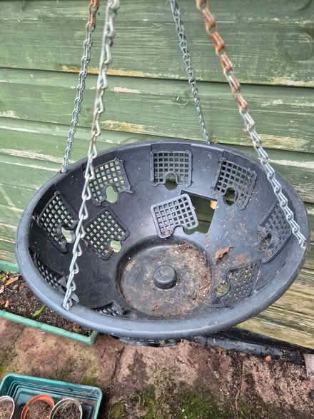 Photo of free Hanging basket (Horfield BS10) #1