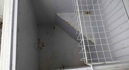 Photo of free Chest freezer (St Claire Gardens) #4