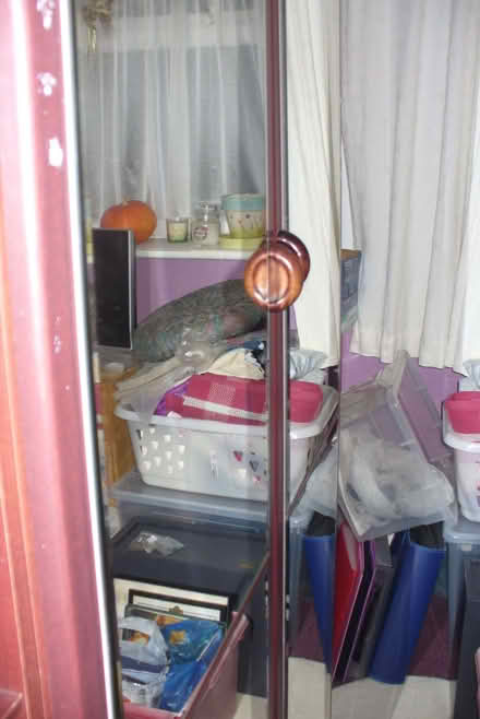 Photo of free Plum coloured MFI wardrobe, shelves and drawers (Far Bletchley MK3) #2