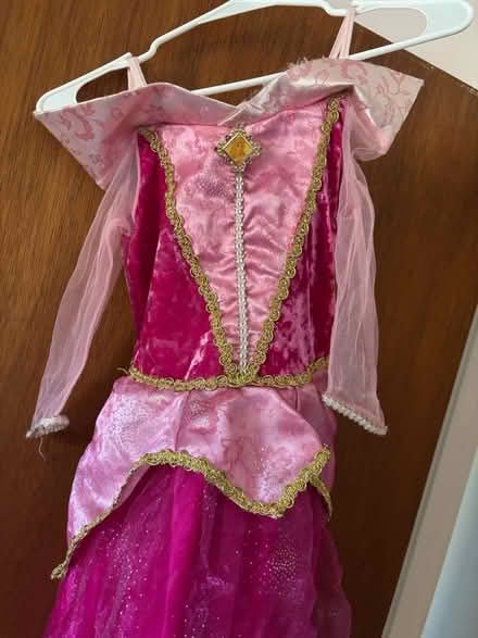 Photo of free Princess dress (Norristown) #1