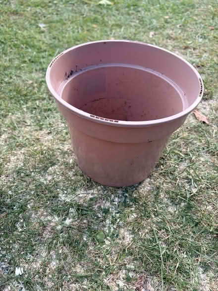 Photo of free Garden stuff including 3 litre pots (Cheltenham GL52) #2