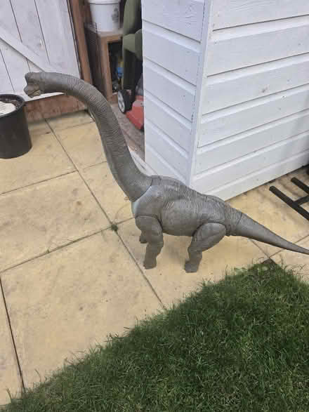 Photo of free Jurassic Park giant dinosaur (Goffs Oak EN7) #1