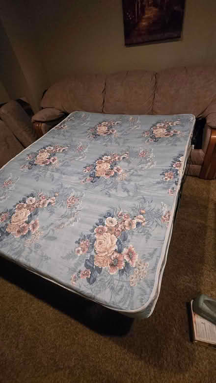 Photo of free Sleeper Sofa and matching love seat (West Lenexa, Ks) #2