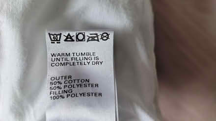 Photo of free Pair of polyester filled pillows (North Winchester) #4