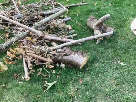 Photo of free Logs (Nest Farm area NN8) #2
