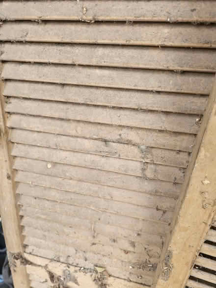 Photo of free Slatted doors (Nw11) #4