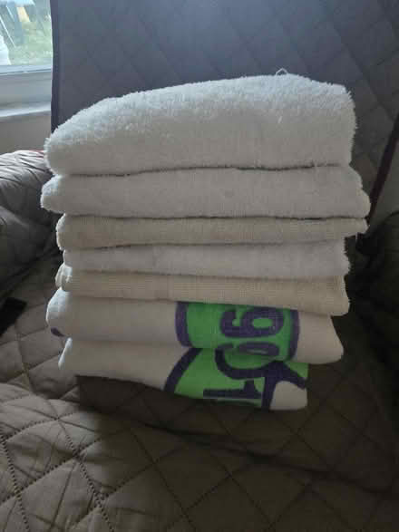 Photo of free Clean used towels (Clearwater 33763) #1