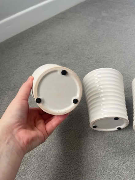 Photo of free 3 herb plant pots (OX14) #2
