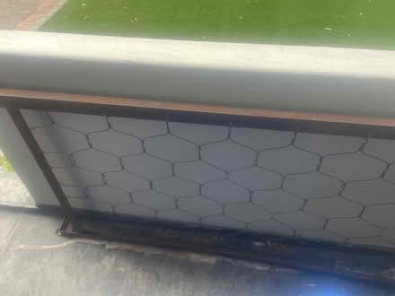 Photo of free Single bed without mattress (Kenilworth) #2