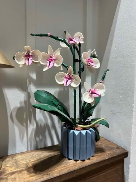 Photo of free Lego plants (N7 6RP) #3