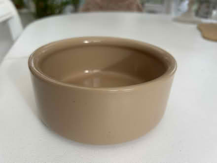 Photo of free Small ceramic dog bowl (KT23 Great Bookham) #1